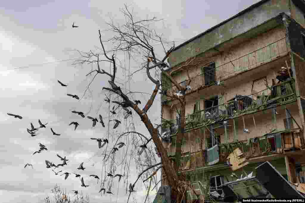 Пошкоджений обстрілами будинок у Костянтинівці