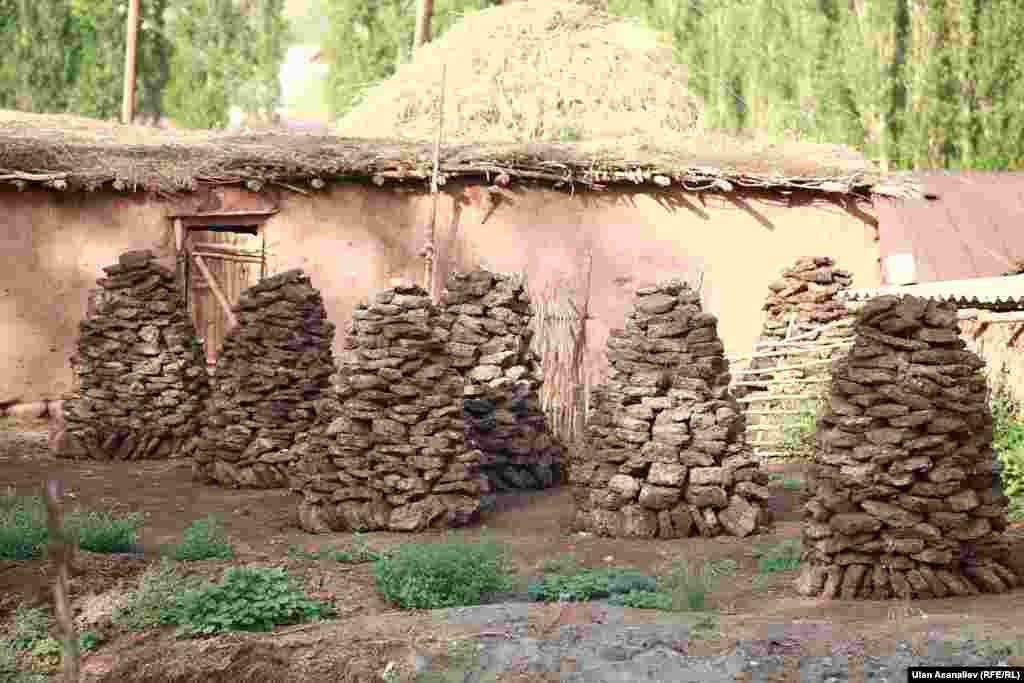 Навозные &quot;лепешки&quot; - отличное топливо зимой и летом