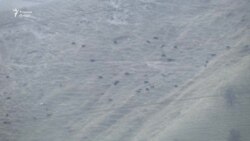 «Ни молока, ни мяса». Как живут «новые» душанбинцы