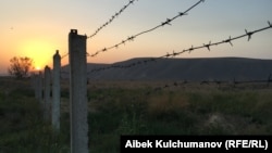 Иллюстративное фото.