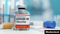 COVID-19 илдетине каршы вакцина. Жалпы сүрөт.