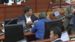 Фракция лидерлеринин парламенттеги сөзү