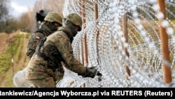 Огорожа з колючого дроту на кордоні Польщі з російською Калінінградською областю, 3 листопада 2022 року