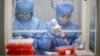 China -- Workers in protective suits work at the production line manufacturing detection kits for the new coronavirus at a company, as the country is hit by an outbreak of the new coronavirus, in Taizhou, Jiangsu province, January 29, 2020