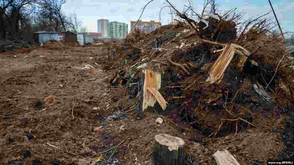 В жертву стройке принесена часть лесополосы у гаражного кооператива