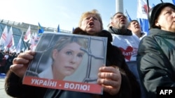 Юлия Тимошенкону абактан чыгарууга жана саясий репрессияны токтотууга чакырган   демонстрациядан бир көрүнүш. Киевдин Төбөлсүздүк майданы. 25-февраль 2013