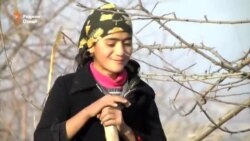 Хадича китобро ба белу каланд иваз кардааст