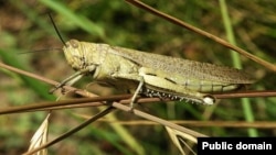 Иллюстративное фото.