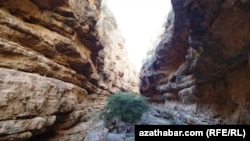 Lebap welaýatyndaky Köýtendag jülgesi 