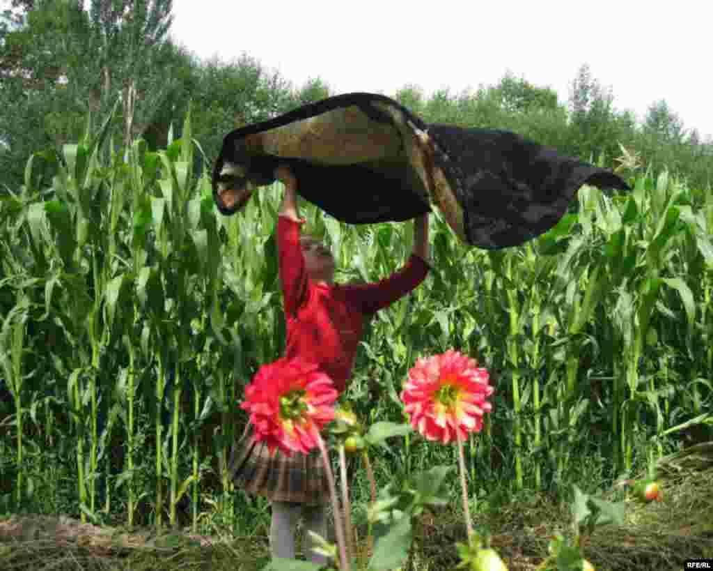 Арзыгүл: Түшүмө кирдиң түндө сен... #12