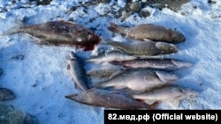 Иллюстрациялык сүрөт. 