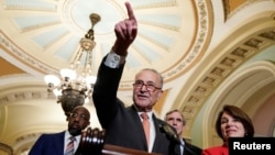 چاک شومر رهبر اکثریت سنا با شماری از سناتوران دیگر امریکایی