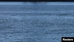 Иллюстратив сурат.