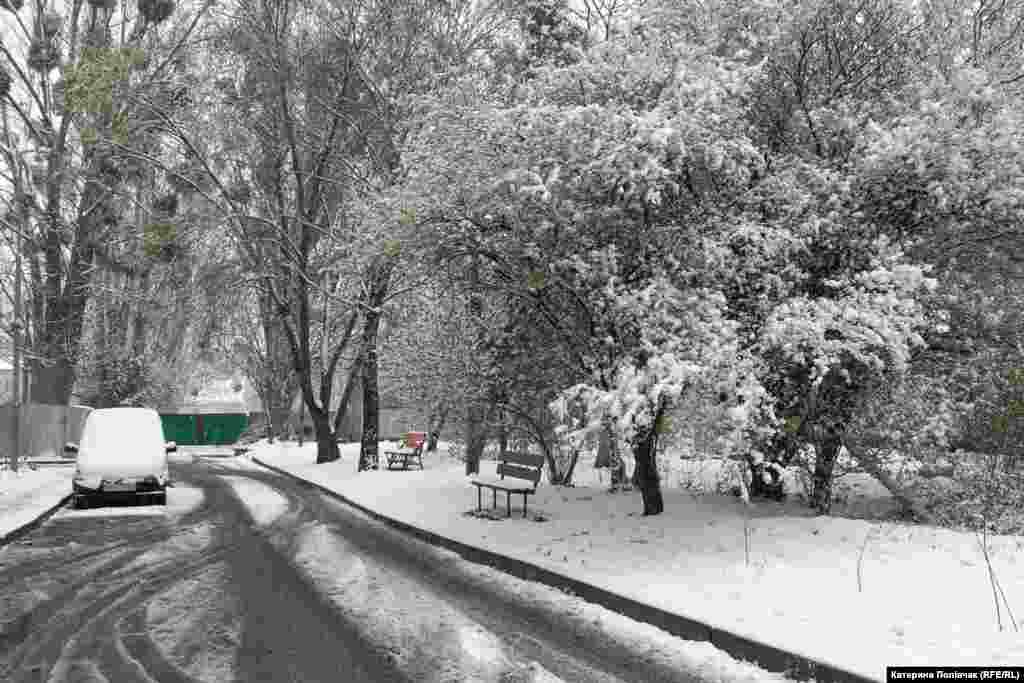 Одна з вуличок Львова 11 квітня 2025 року