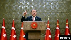 Турецкий президент Реджеп Эрдоган выступает в Анкаре (2 августа 2016 года) 