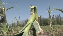 Жола зиндагии муҳоҷири бозгаштаро сахттар кард