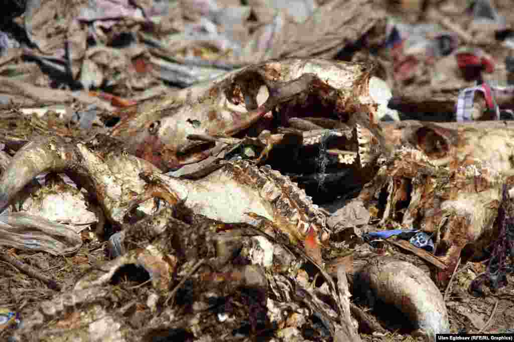 Таштандыдан тамак-аш калдыгынан баштап, өлгөн малдын сөөгүнө чейин көрүүгө болот. Баары аралаш.