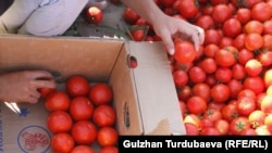 Иллюстративное фото