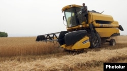 Armenia - Wheat harvest in Shirak province.