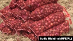 Цыбуля ў мяхах. Архіўнае фота 