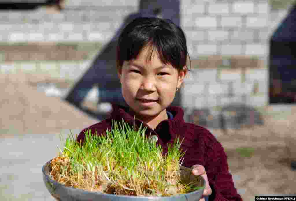 Жаңы-Жер айылынын 10 чакты үй-бүлөсү жыл сайын кезектешип сүмөлөк кайнатышат. Быйыл бул милдетти Бердигуловдордун үй-бүлөсү аткарышы керек.&nbsp;