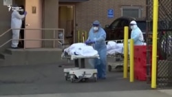 COVID-19: АКШда бир күндө 1970 адам өлдү