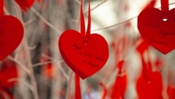 Карантинде үлпөт тойсуз баш коштук