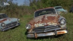 Революция на колесах. Станет ли электромобиль транспортом будущего?