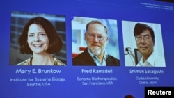 Нобел сыйлыгын алган окумуштуулар