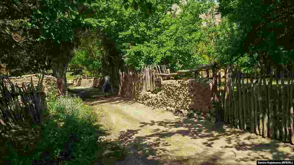 Зардалы айылындагы борбордук көчө. Бул көчөдө мектеп жана ФАП жайгашкан.