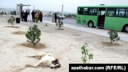 Туркменистан (иллюстративное фото)  