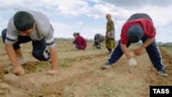 18 жаштан 21 жака чейинки өзбек мигранттарынын оор абалын азыр бийликтер териштирип жатышат