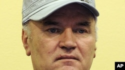 Бывший генерал боснийских сербов Ратко Младич в первый день своего суда в  Международном трибунале по бывшей Югославии. Гаага, 3 июня 2011 года. 