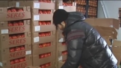 Русия чикләүләре Башкортстанның Төркия белән бәйләнешләренә зур зыян китерә