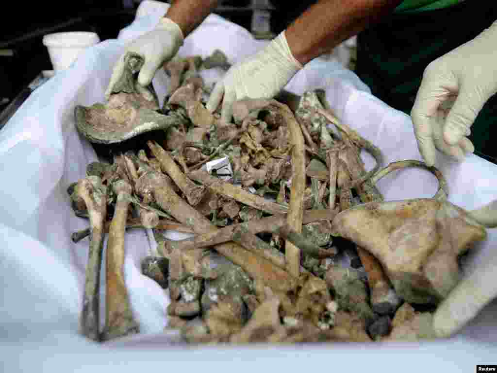 1995-жылдагы кыргындан калган сөөктөрдү чогултуу.  - 1995-жылдагы Сребреницадагы кыргындан калган сөөктөрдү чогултуу. Босниядагы Високо шаарынын өлүкканасы. 2010-жылдын июлу (теке айы).