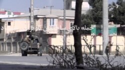 حمله بالای تلویزیون شمشاد