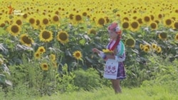 «Україна» чи «край»? – документальний фільм про здобуття Незалежності