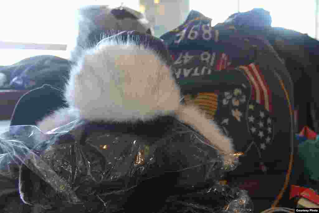 В углу энергичная группа женщин распаковывала большие сумки, в которых были верхняя одежда, теплые шапки и другое. Люди несли обувь и одежду, в общем, кто что может.