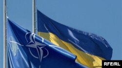 Партнерство з НАТО є запорукою існування України як незалежної держави – експерти