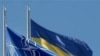 Україна – НАТО: що далі? 