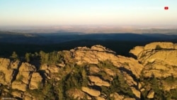 Экологические протесты