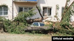 Поврежденные линии электропередач, рекламные баннеры и поваленные ветром деревья – такую картину можно было наблюдать сегодня в Восточной Грузии