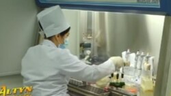 Lebaplylar COVID-19 waksinasy üçin elektron saglyk kitapçalaryny edinmäge gyssanýar