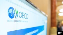 Для економічного зростання ОЕСР рекомендує, поміж іншого, створення умов для реінтеграції демобілізованих військовослужбовців та переселенців у ринок праці, заохочення повернення біженців та збільшення участі жінок