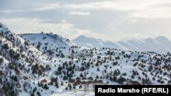 Нохчийчоь --Къизан-Iам, 2016