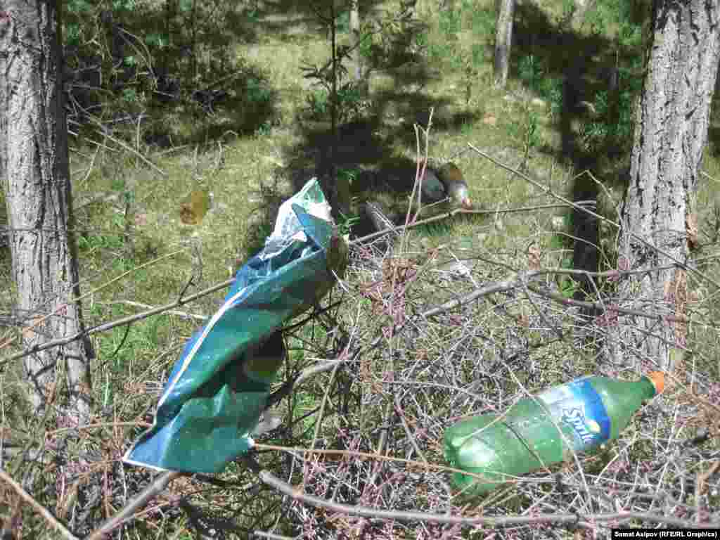 Ал эми азыр жапайы жандыктардын бири көрүнбөйт, бак-дарактарды да кыйып кеткендер көбөйүптүр. Андыктан абалга азыр көңүл бурулбаса, жапайы жээктер ири таштанды жайларга айлануу коркунучу бар экенин айтышууда.