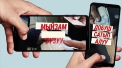 Шайлоо: Мыйзамсыз иштер тууралуу "Азаттыкка" кабарлаңыз