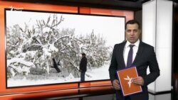 Ахбори Озодӣ аз 20-уми феврали соли 2024