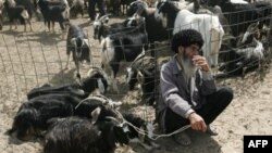 D. Mäneli: "Aşgabatda hem onuň töwreklerinde 15-nji oktýabrdan başlap, bazarlarda mallar gymmatlady".