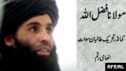 Pakistanyň "Talyban" hereketiniň lideri Maulana Fazlullah.